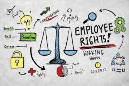 Employment Law and Human Resources