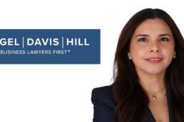 Brizza Ortiz Associate PDH Law